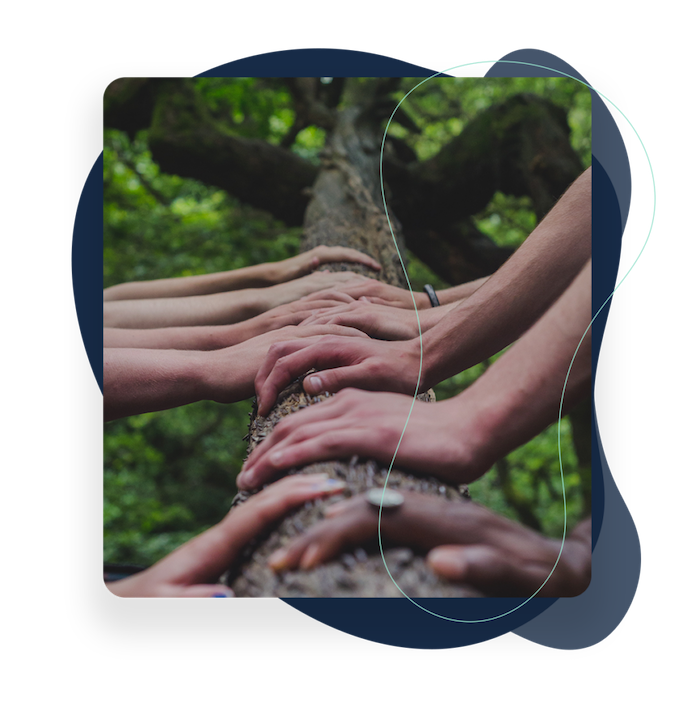 checkboard-homepage-new-2-1021x1024